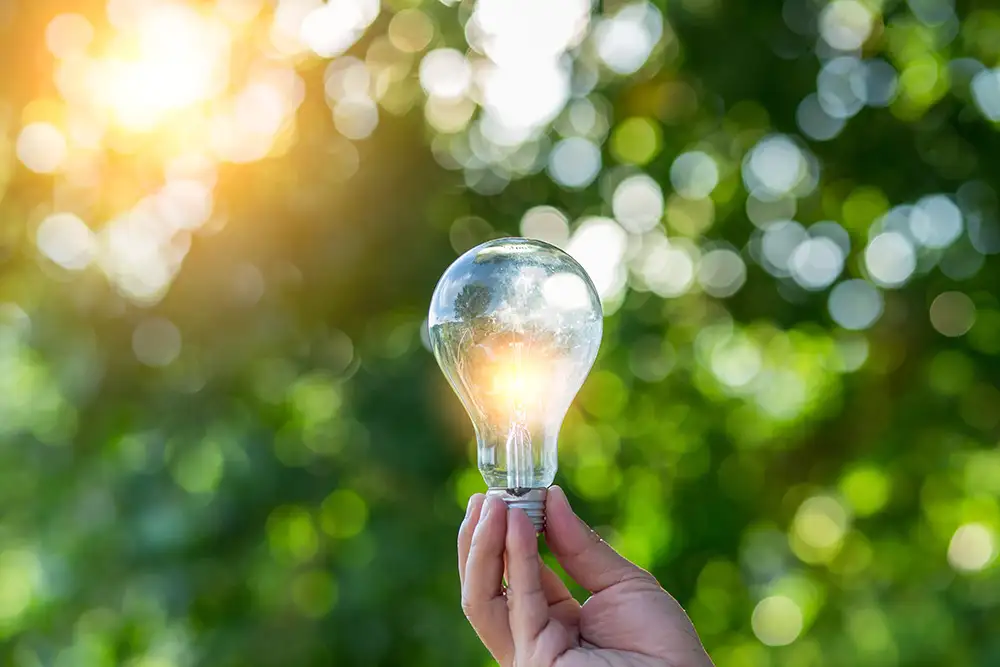 EMとは？【種類・比較・EM活性液の作り方を簡単に解説】