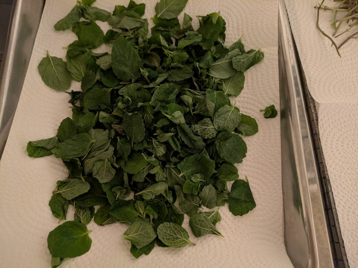 葉と茎を分ける