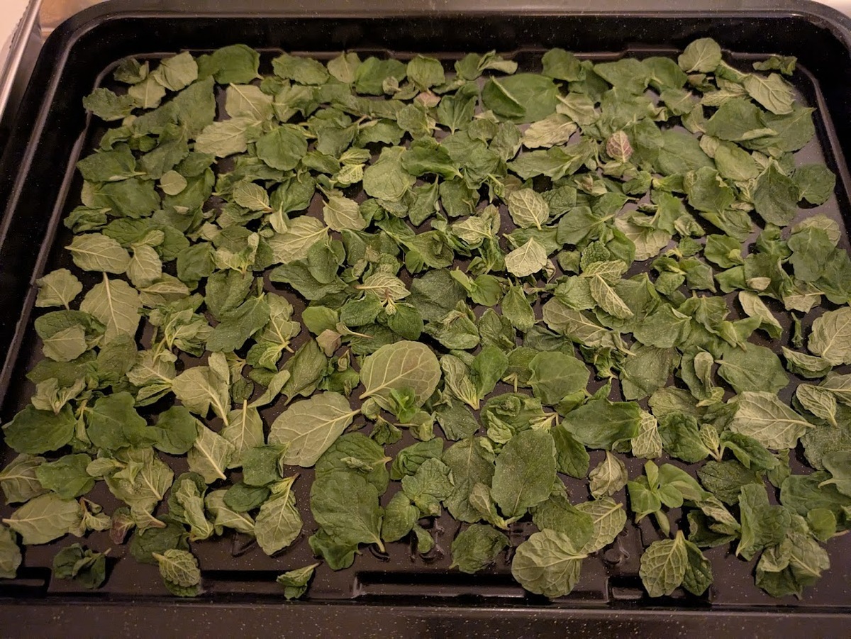 天板にミントを広げる