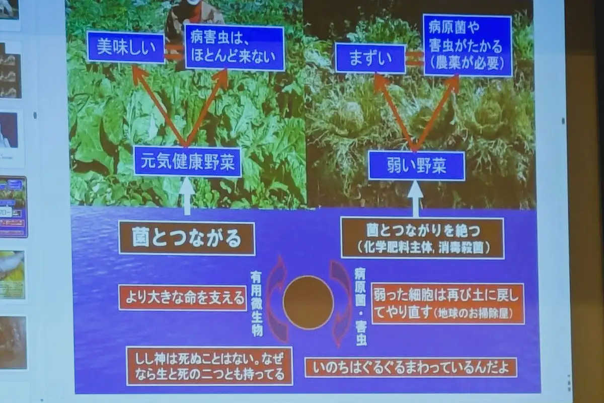 虫が食べられない野菜と虫が好む野菜